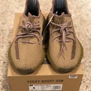 Yeezy boost 350 earth
